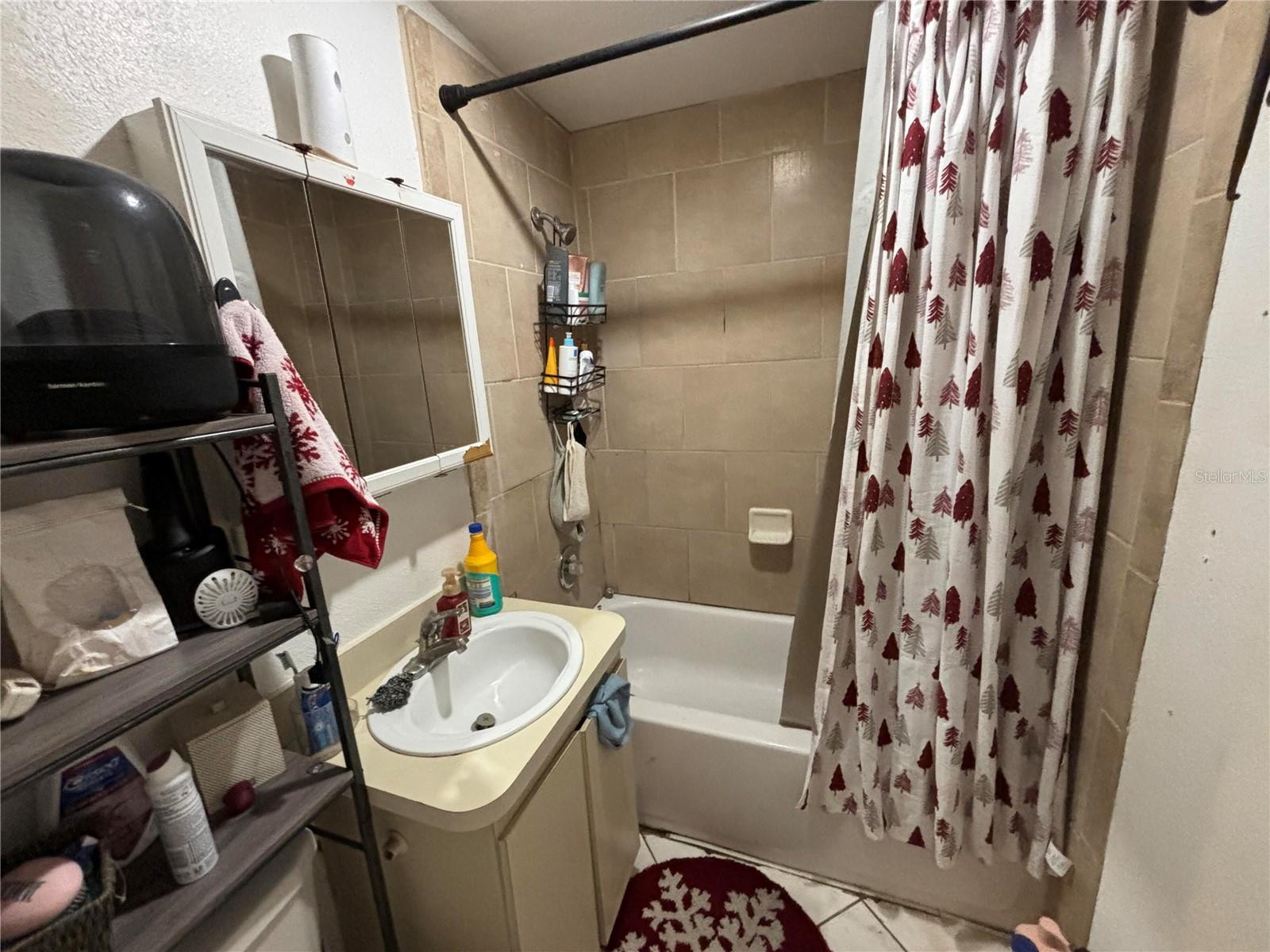 10011 N ANNETTE AVE, TAMPA, FL, 33612