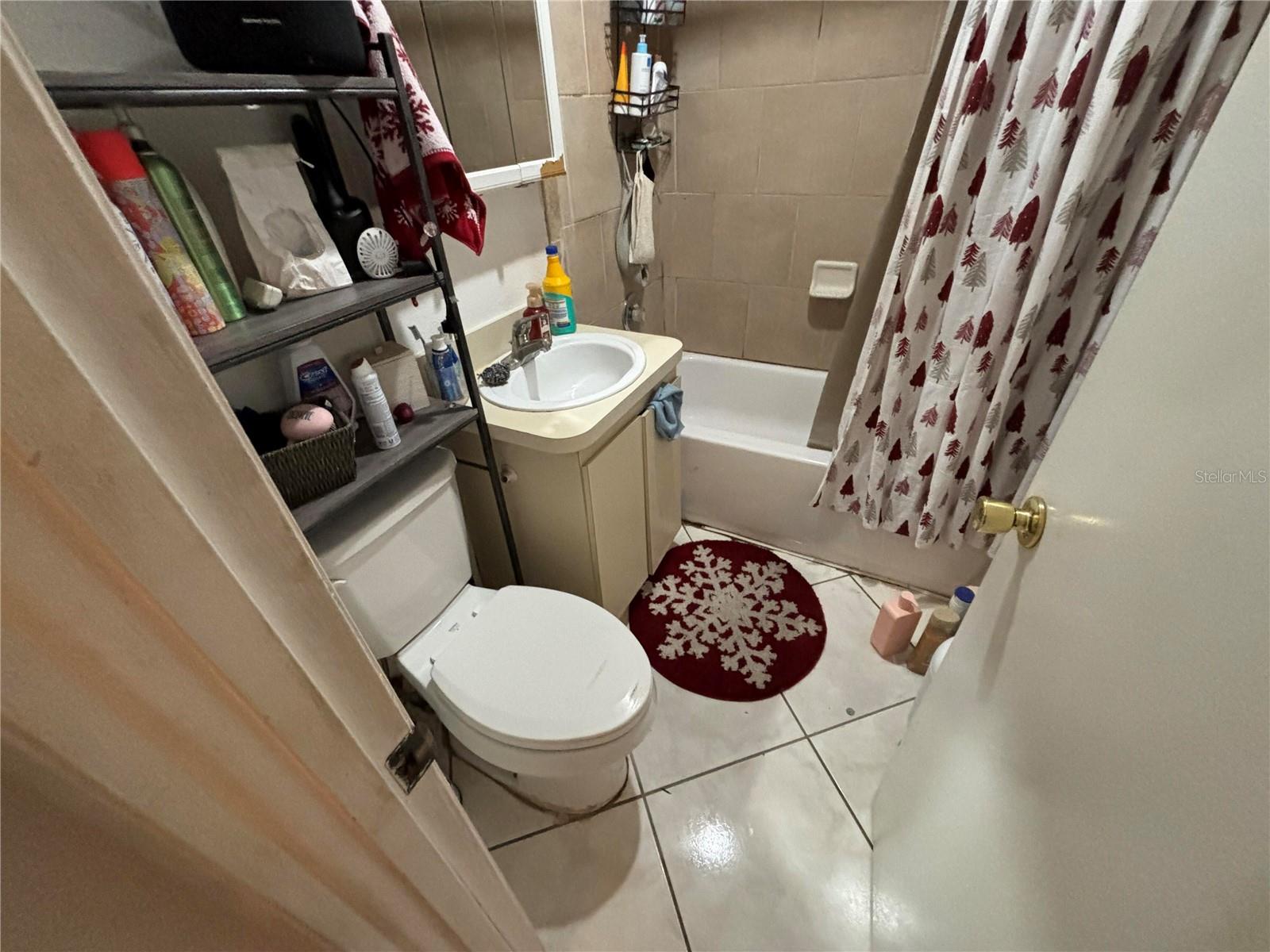 10011 N ANNETTE AVE, TAMPA, FL, 33612