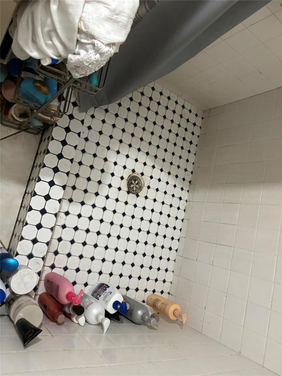 10011 N ANNETTE AVE, TAMPA, FL, 33612