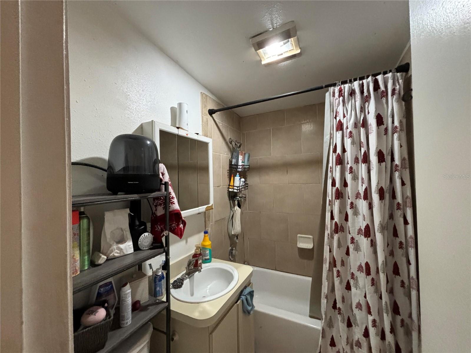 10011 N ANNETTE AVE, TAMPA, FL, 33612