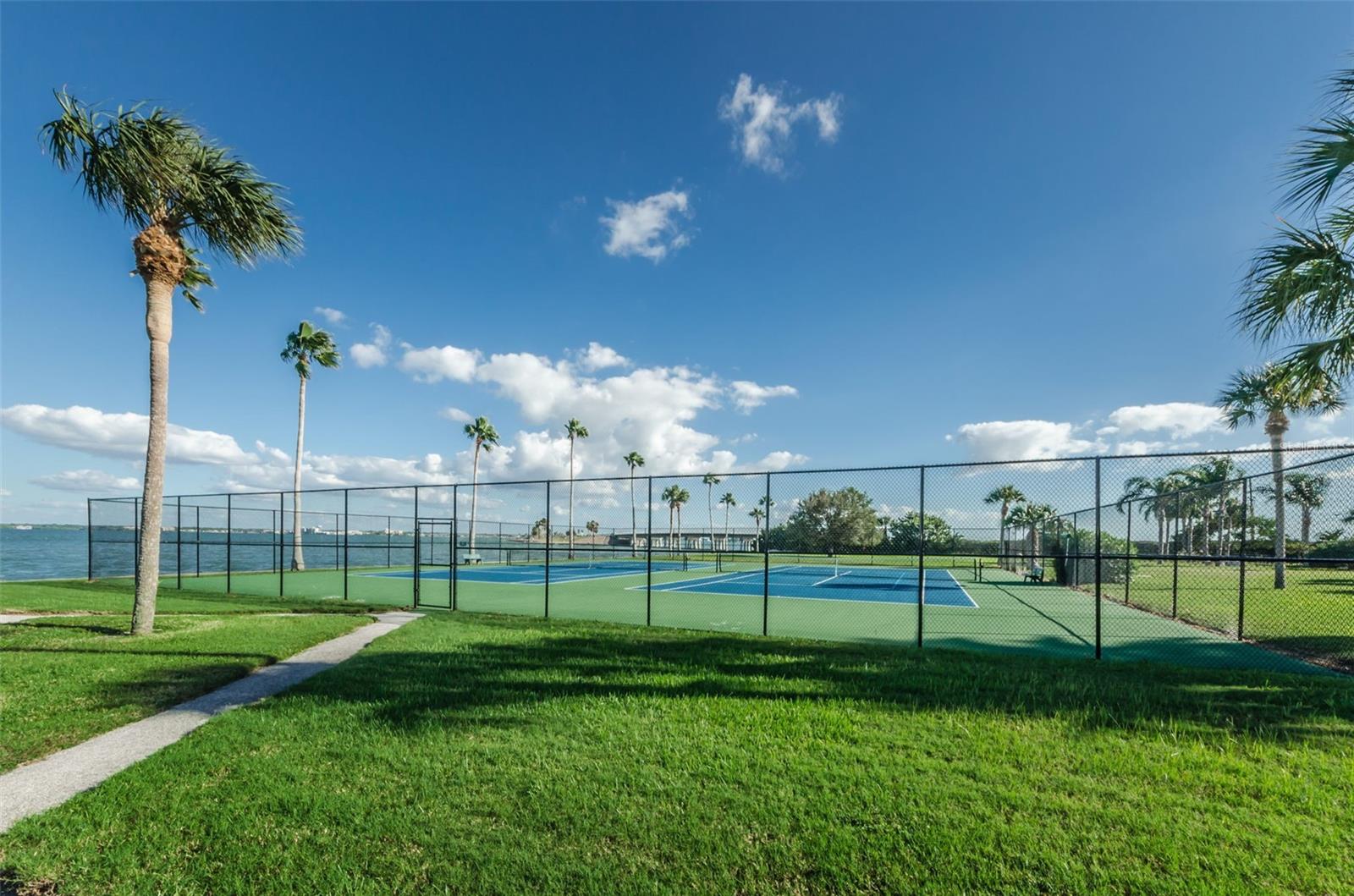 5 GATESHEAD DR #308, DUNEDIN, FL, 34698