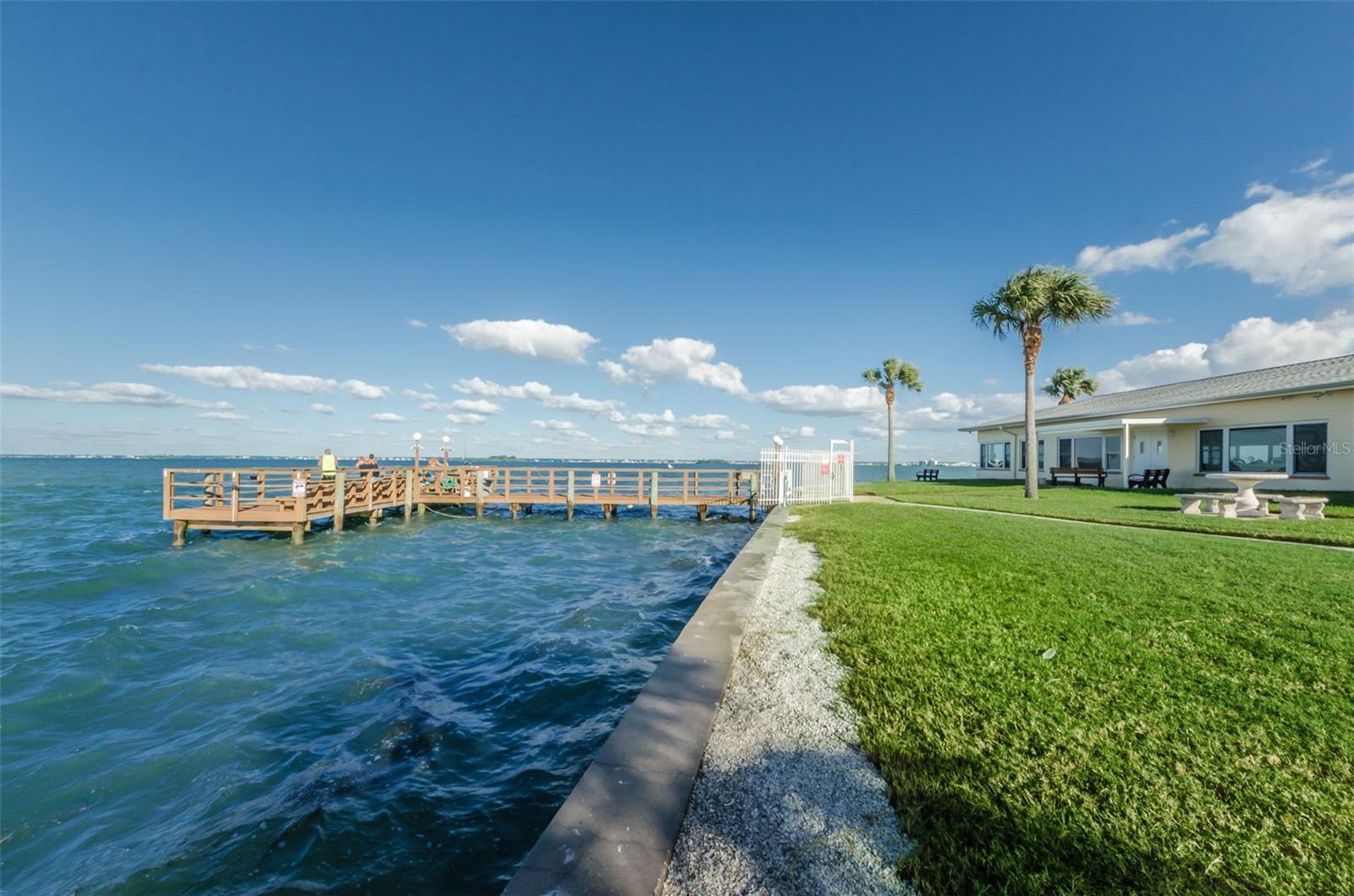 5 GATESHEAD DR #308, DUNEDIN, FL, 34698
