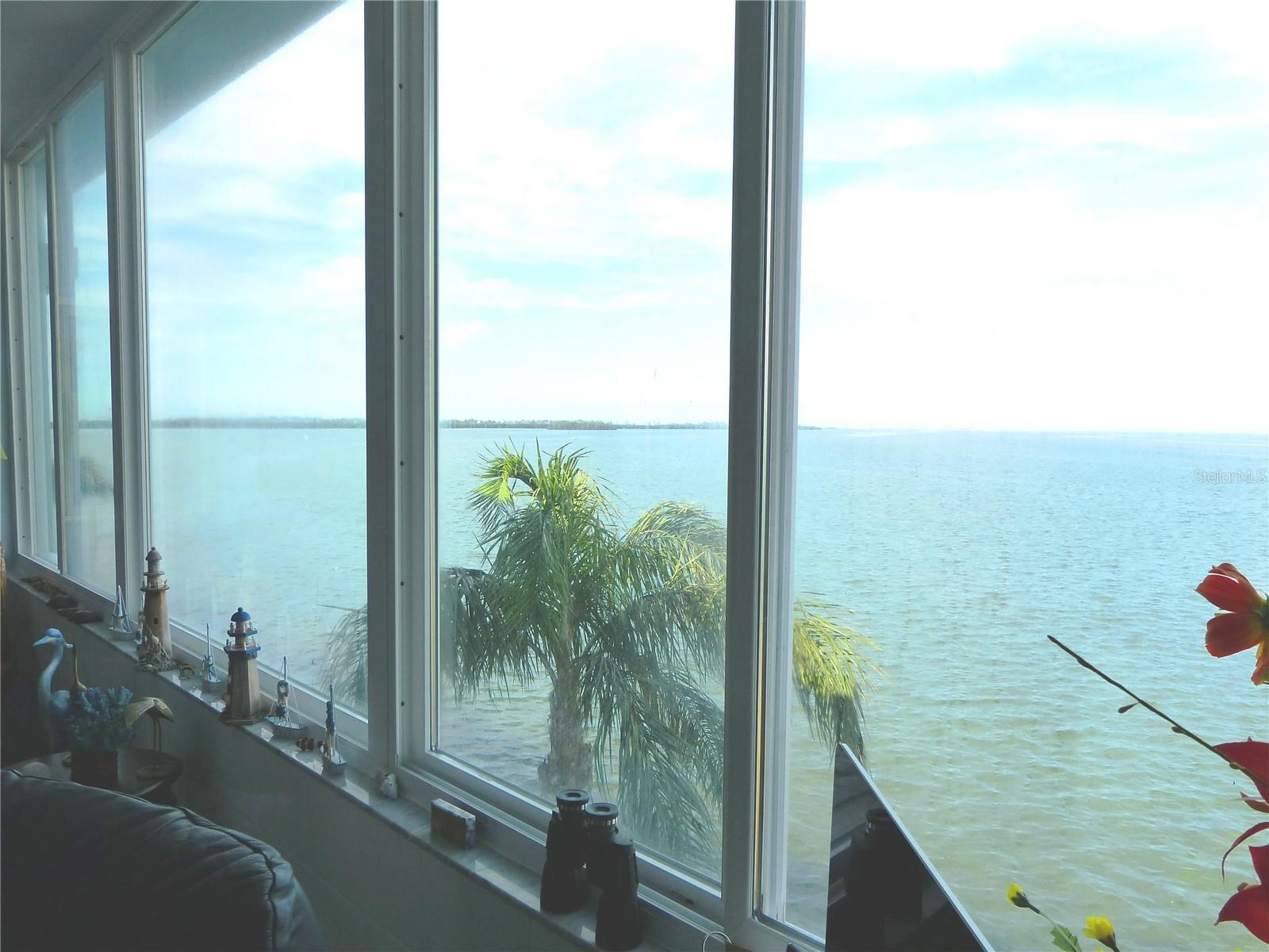 5 GATESHEAD DR #308, DUNEDIN, FL, 34698