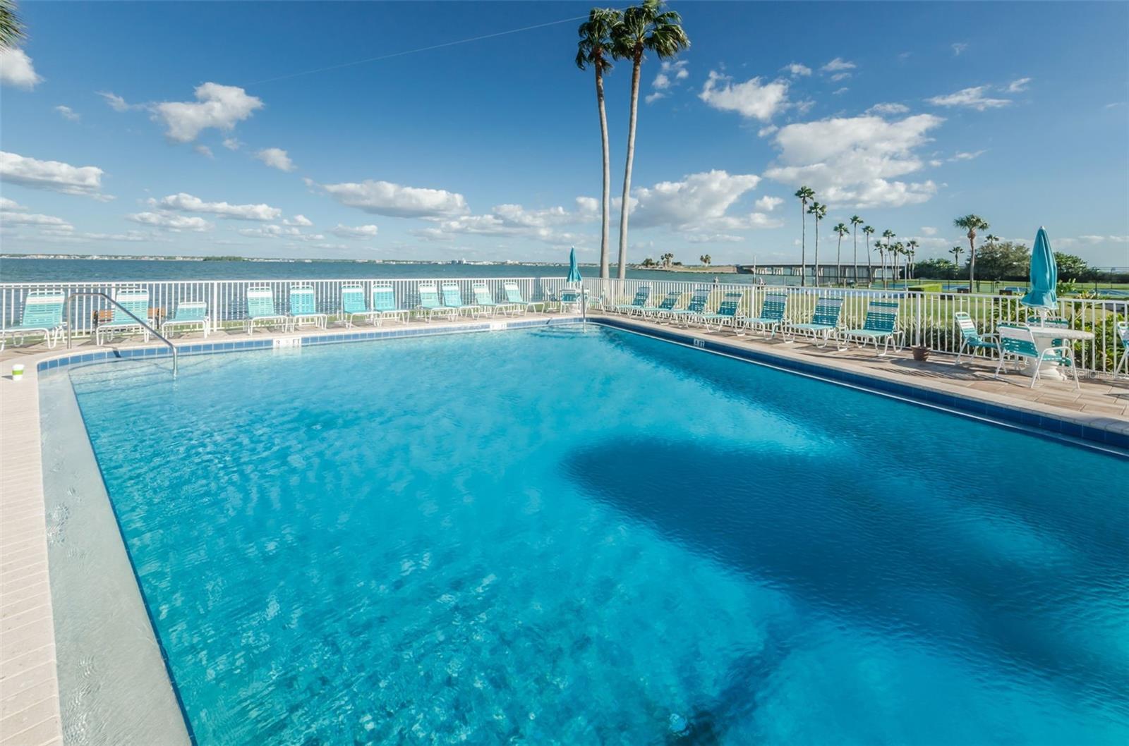 5 GATESHEAD DR #308, DUNEDIN, FL, 34698