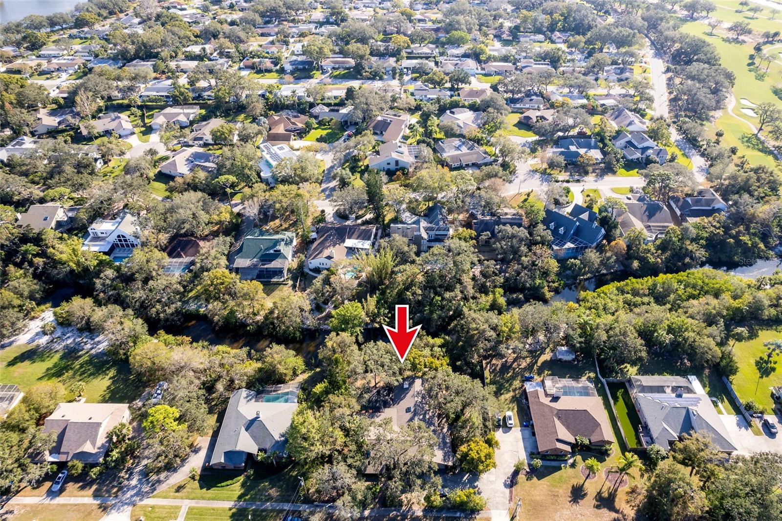 1205 CURLEW RD, DUNEDIN, FL, 34698