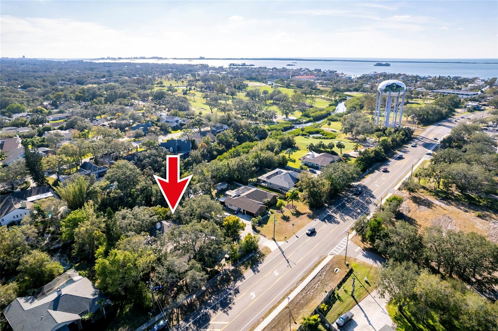 1205 CURLEW RD, DUNEDIN, FL, 34698