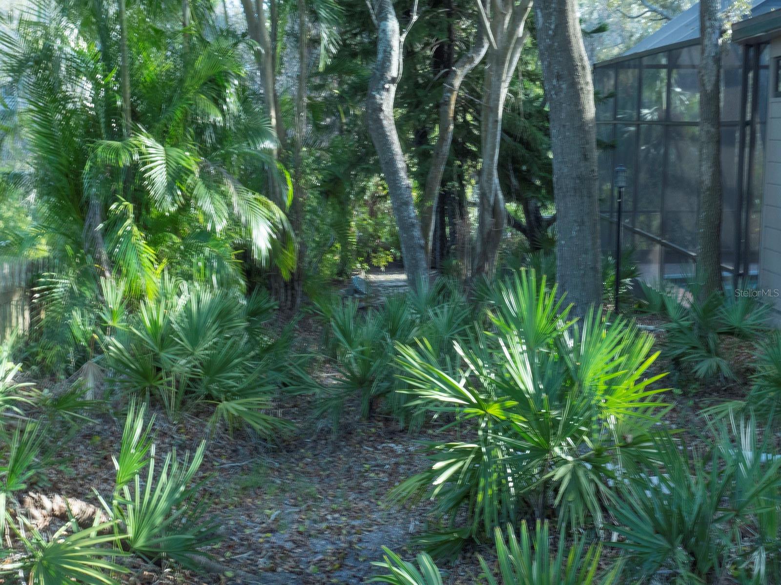 1205 CURLEW RD, DUNEDIN, FL, 34698