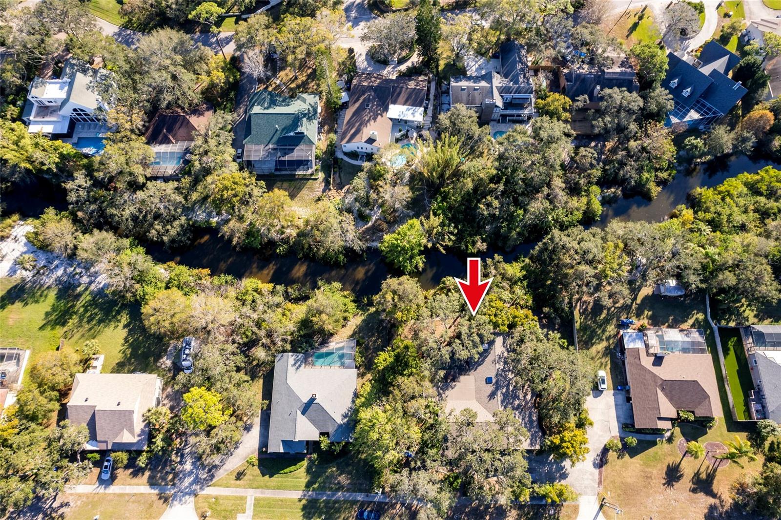 1205 CURLEW RD, DUNEDIN, FL, 34698