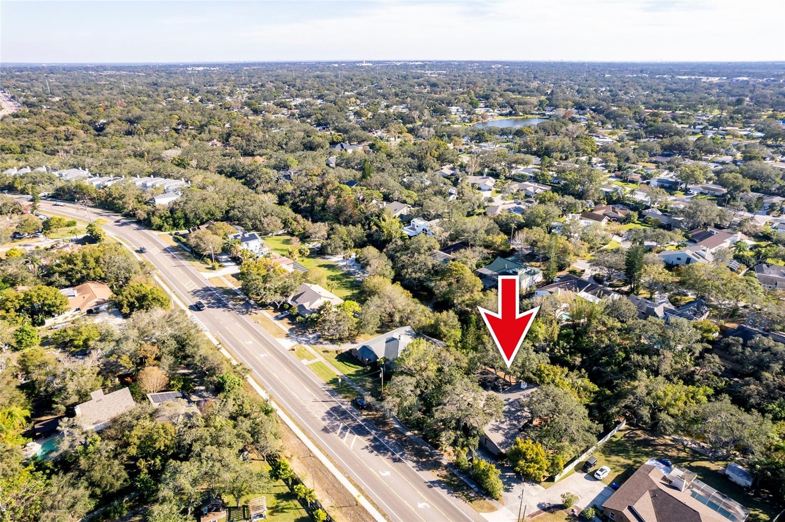 1205 CURLEW RD, DUNEDIN, FL, 34698