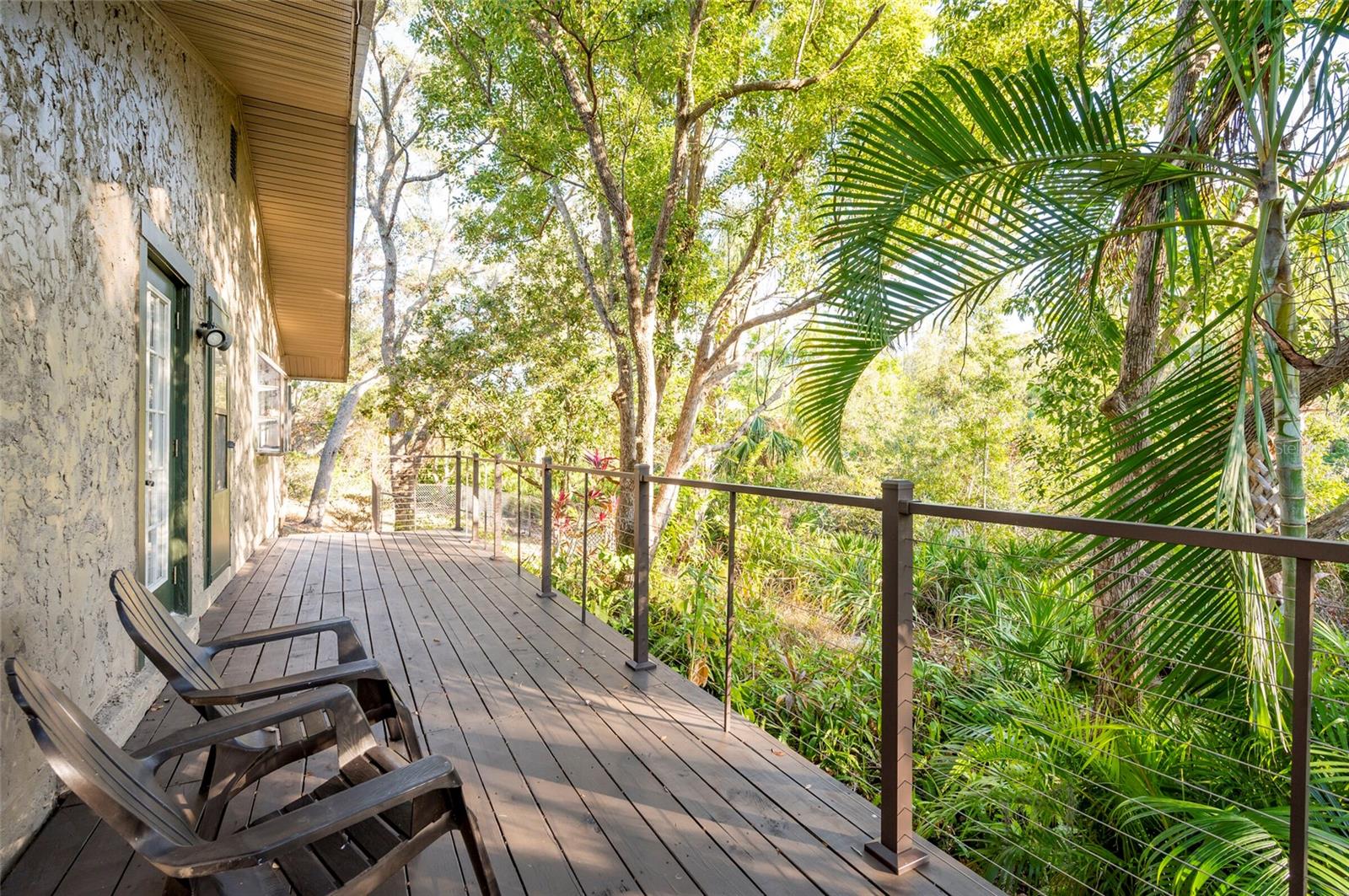 1205 CURLEW RD, DUNEDIN, FL, 34698