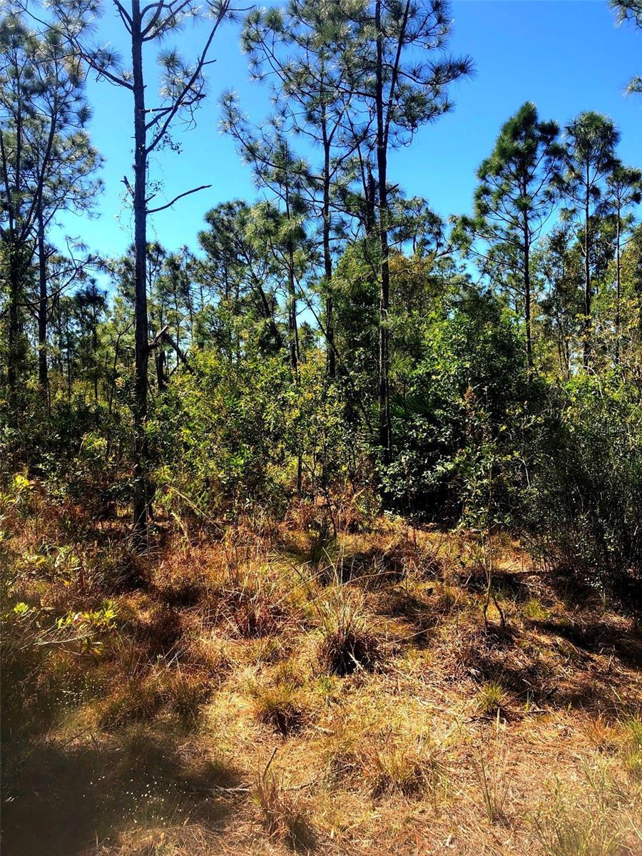 16115 HIBISCUS DR, PUNTA GORDA, FL, 33955