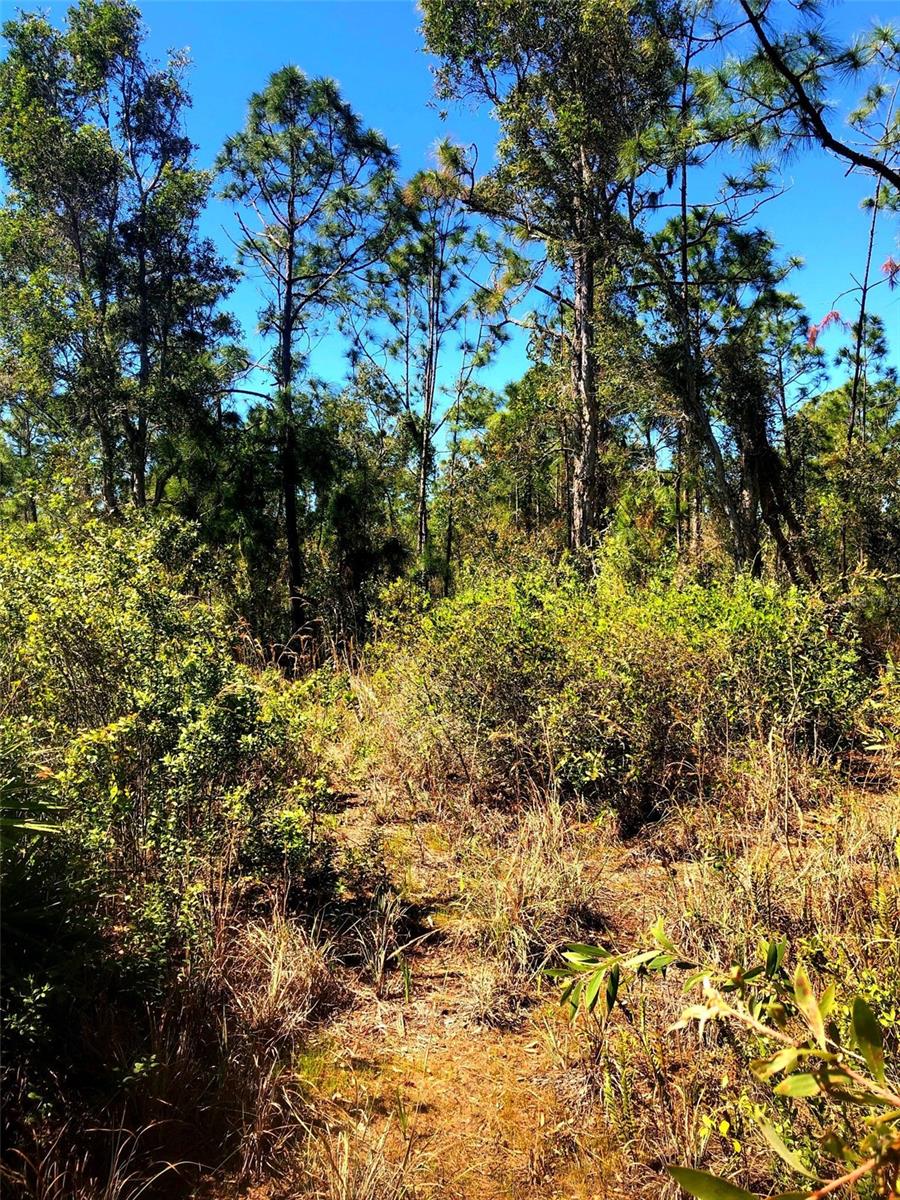 16115 HIBISCUS DR, PUNTA GORDA, FL, 33955