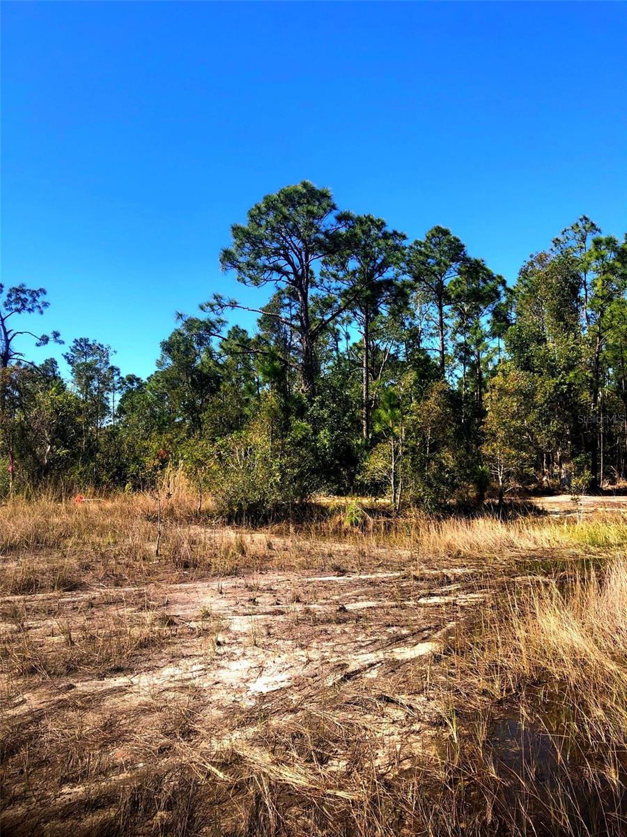 16115 HIBISCUS DR, PUNTA GORDA, FL, 33955