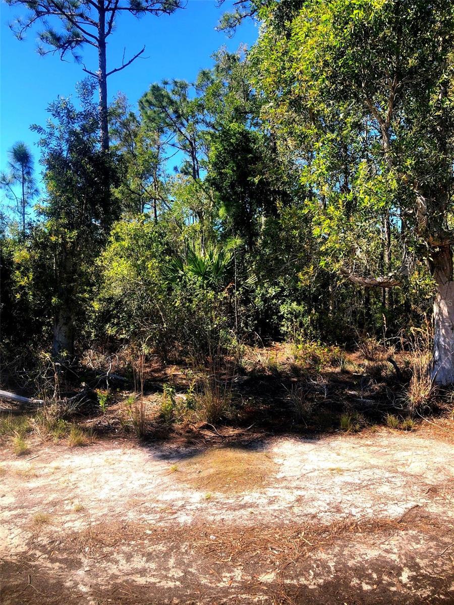 16115 HIBISCUS DR, PUNTA GORDA, FL, 33955