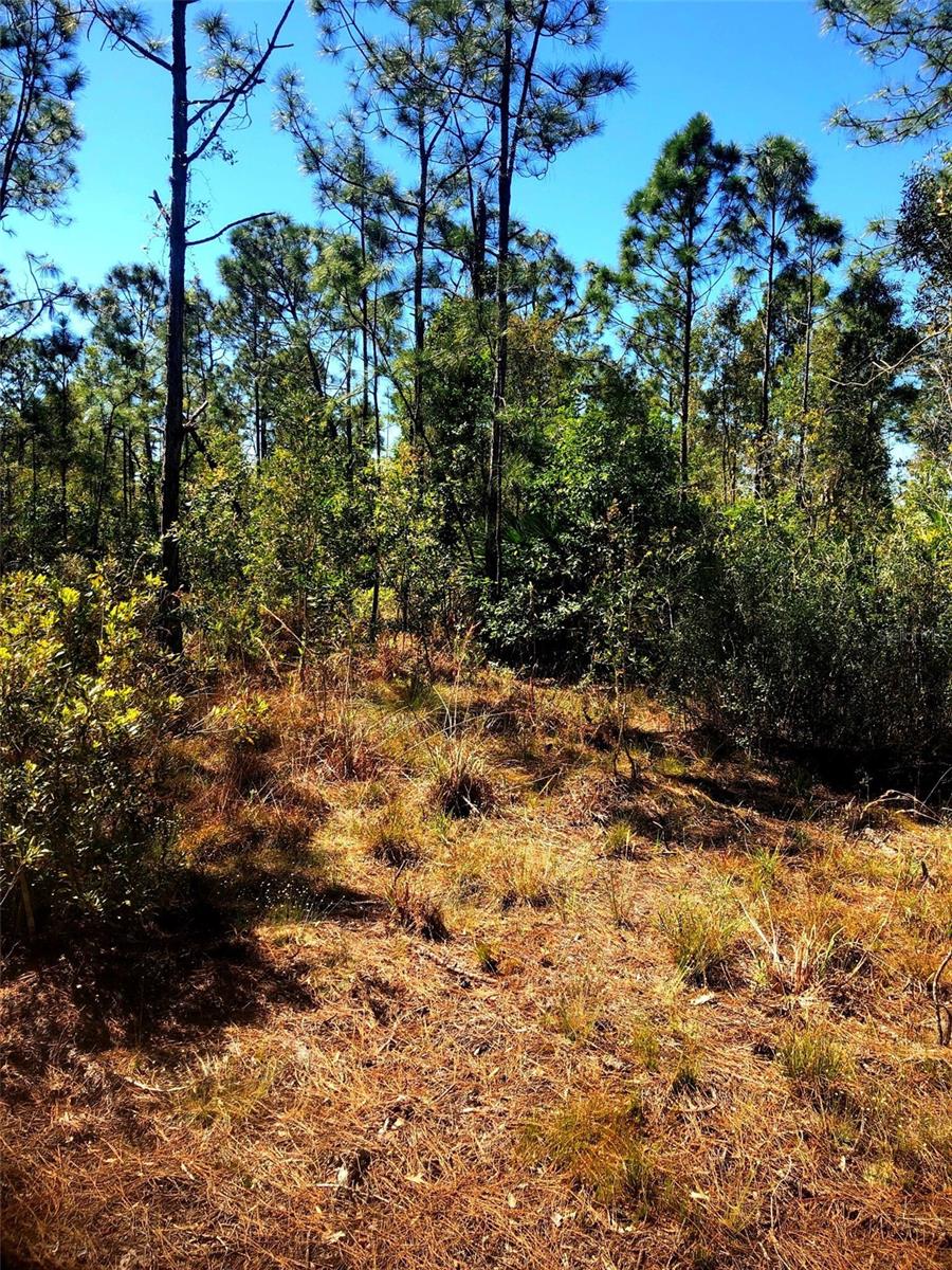 16115 HIBISCUS DR, PUNTA GORDA, FL, 33955