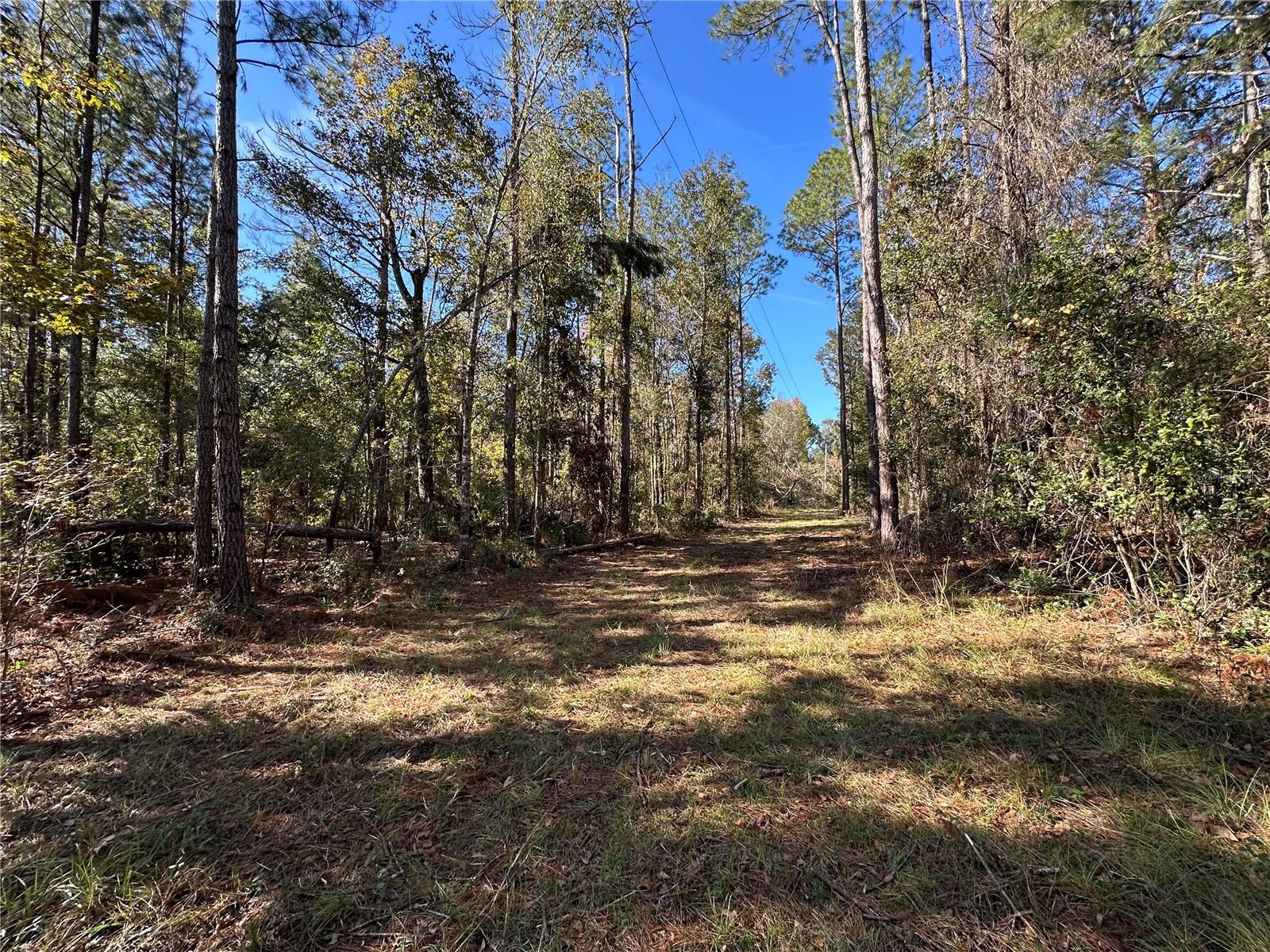 4705 NW 234 AVE, ALACHUA, FL, 32615