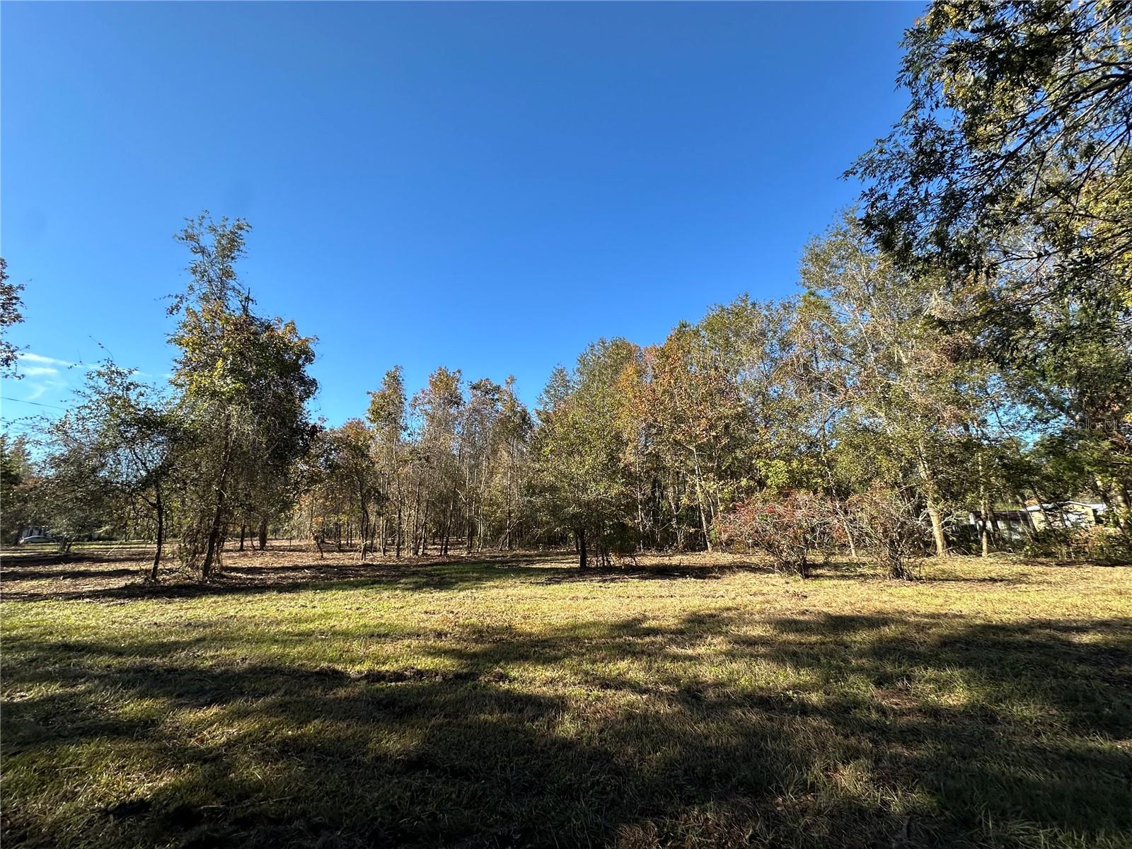 4705 NW 234 AVE, ALACHUA, FL, 32615