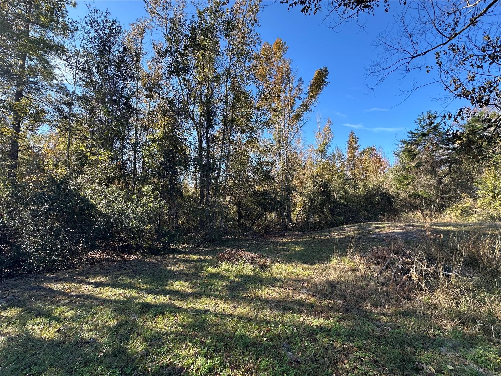 4705 NW 234 AVE, ALACHUA, FL, 32615