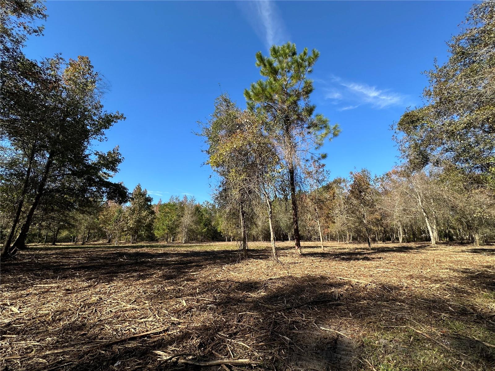 4705 NW 234 AVE, ALACHUA, FL, 32615