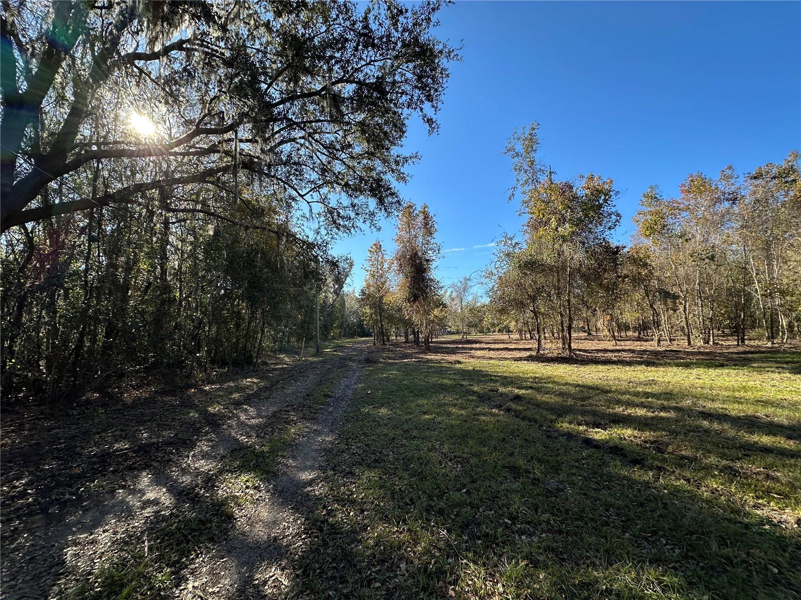 4705 NW 234 AVE, ALACHUA, FL, 32615