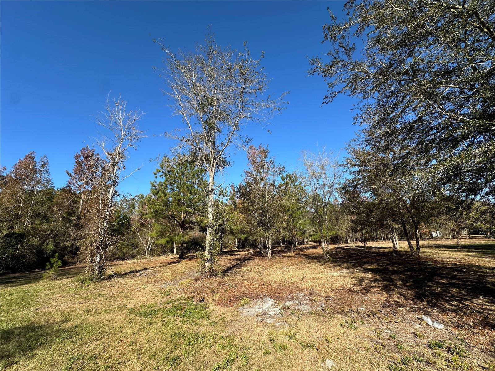 4705 NW 234 AVE, ALACHUA, FL, 32615