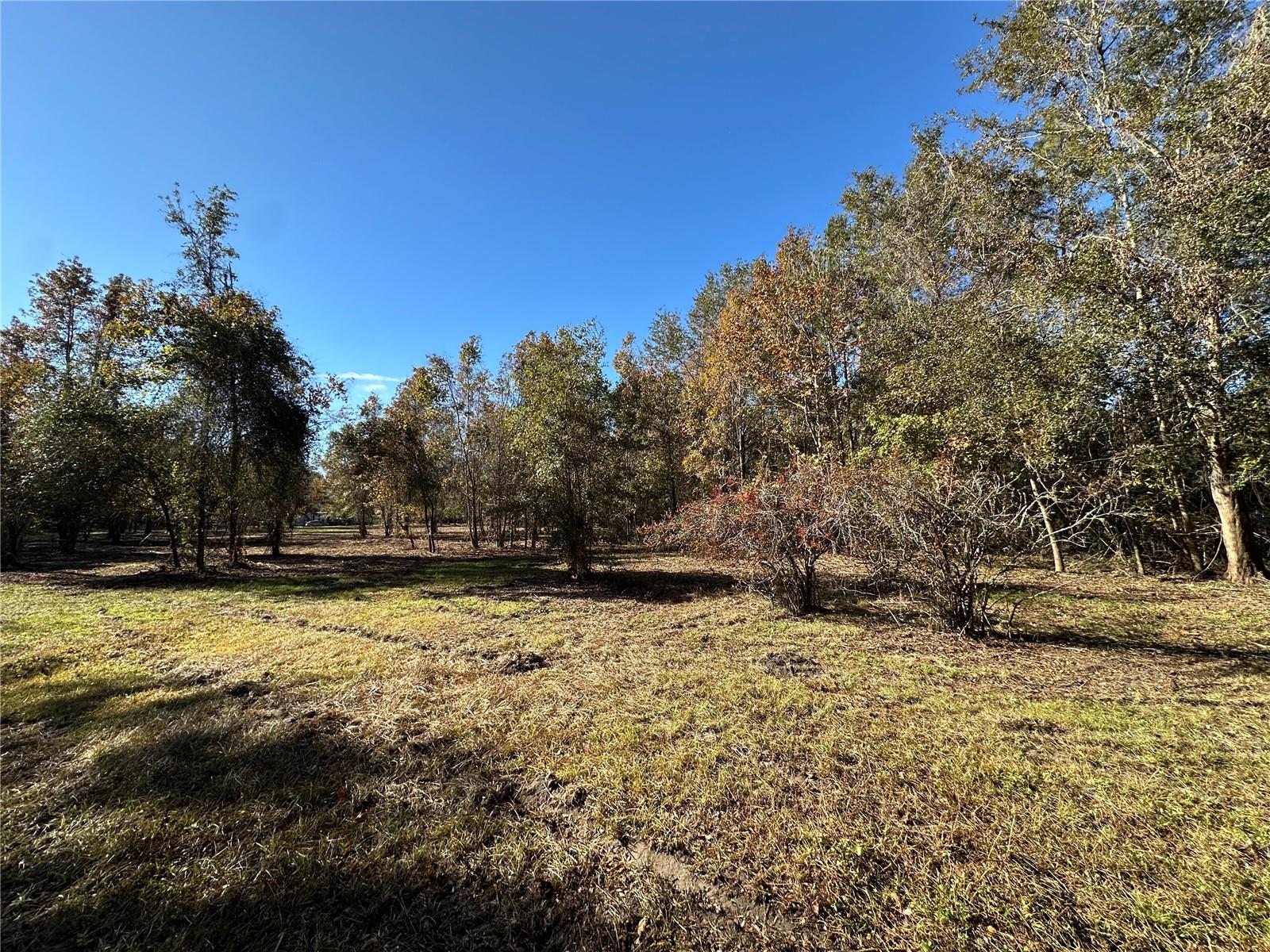 4705 NW 234 AVE, ALACHUA, FL, 32615