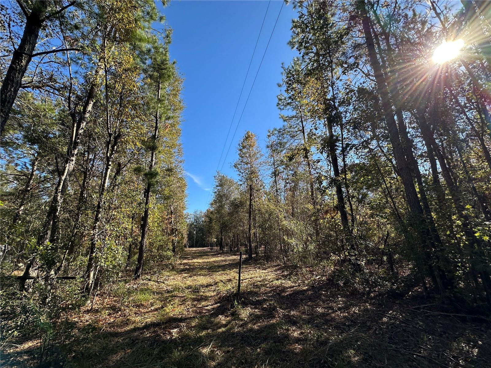 4705 NW 234 AVE, ALACHUA, FL, 32615