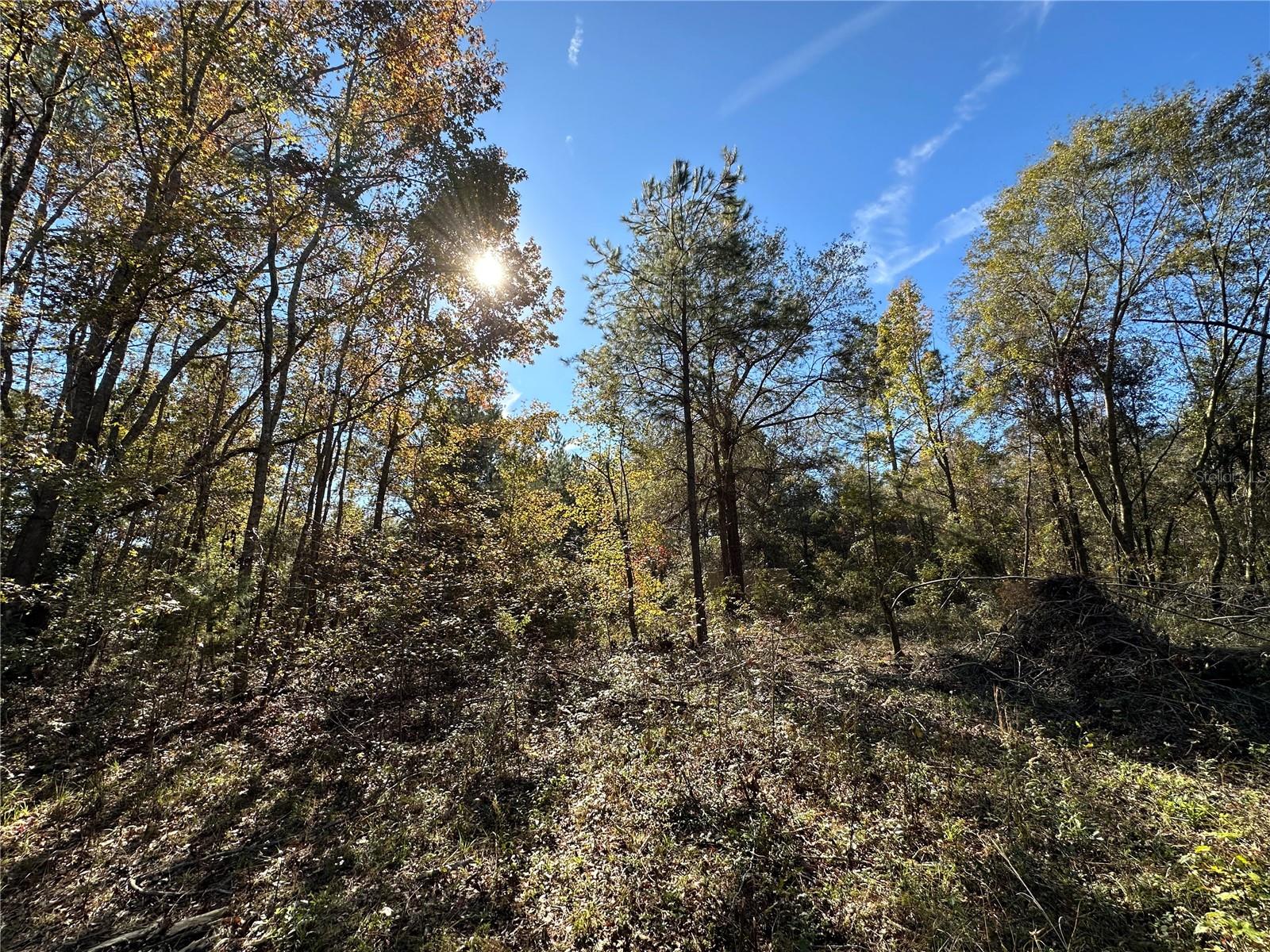 4705 NW 234 AVE, ALACHUA, FL, 32615