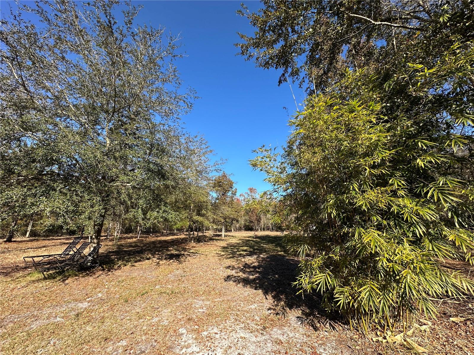 4705 NW 234 AVE, ALACHUA, FL, 32615