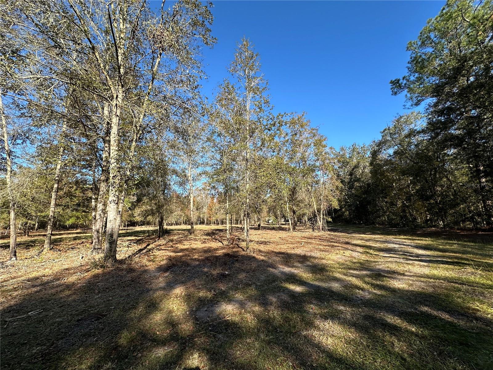 4705 NW 234 AVE, ALACHUA, FL, 32615