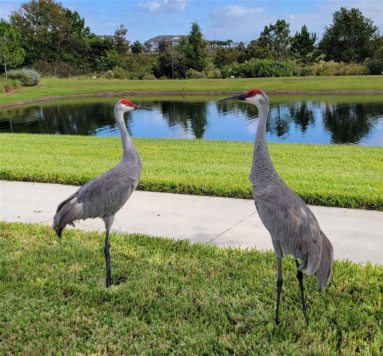10679 ATWATER BAY DR, WINTER GARDEN, FL, 34787