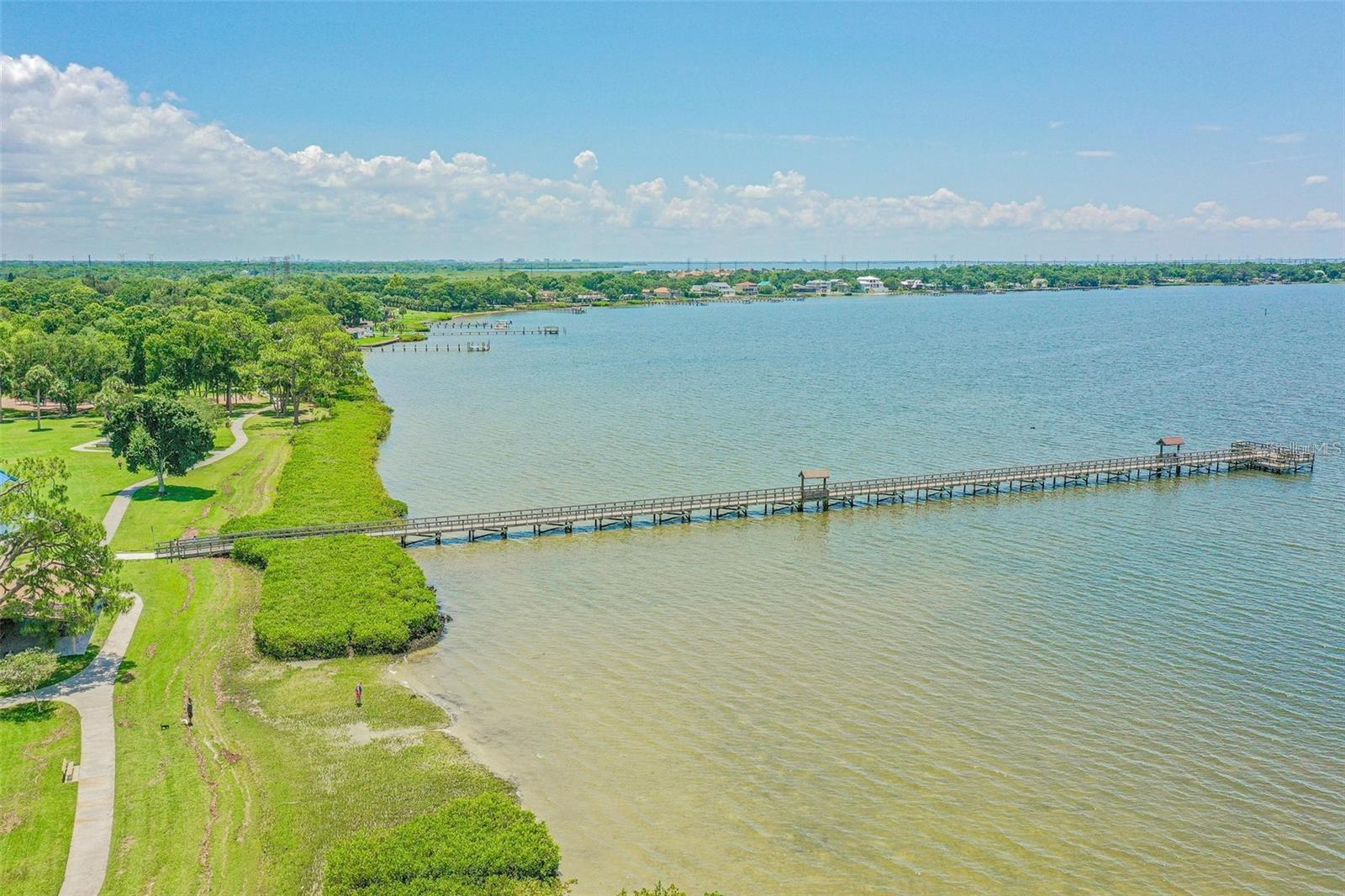 316 COUNTRY CLUB DR, OLDSMAR, FL, 34677