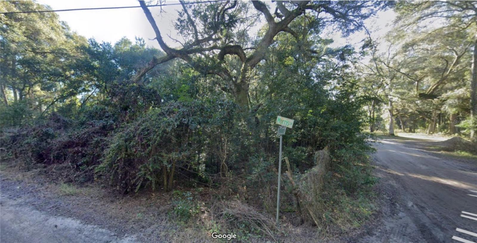 TBD CORNER OF MORRIS LANE AND HOLLAND LANE (LOTS 8 & 9, SPRING HILL, FL, 34610