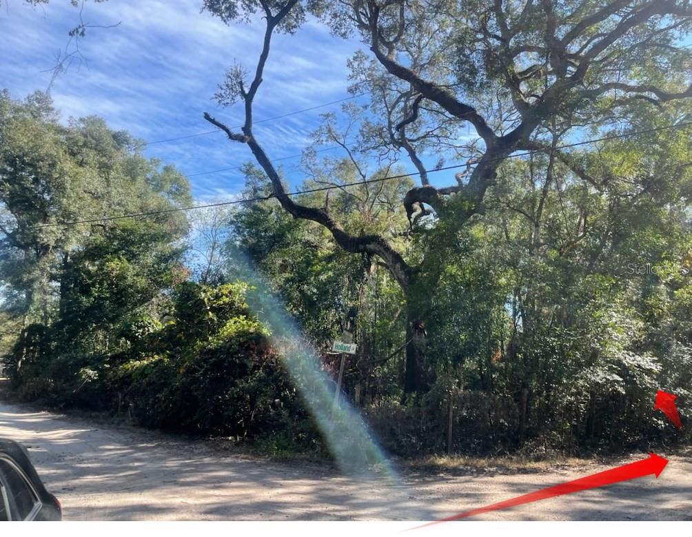 TBD CORNER OF MORRIS LANE AND HOLLAND LANE (LOTS 8 & 9, SPRING HILL, FL, 34610