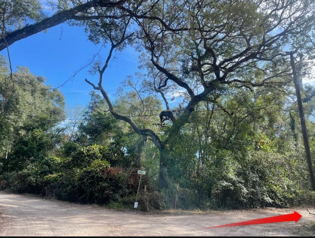 TBD CORNER OF MORRIS LANE AND HOLLAND LANE (LOTS 8 & 9, SPRING HILL, FL, 34610