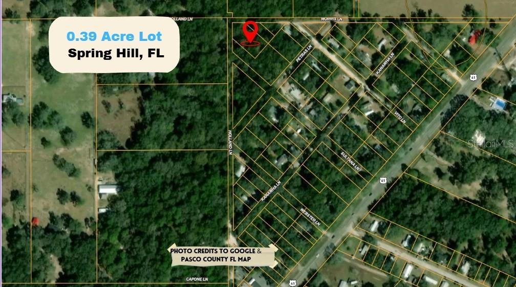 TBD CORNER OF MORRIS LANE AND HOLLAND LANE (LOTS 8 & 9, SPRING HILL, FL, 34610