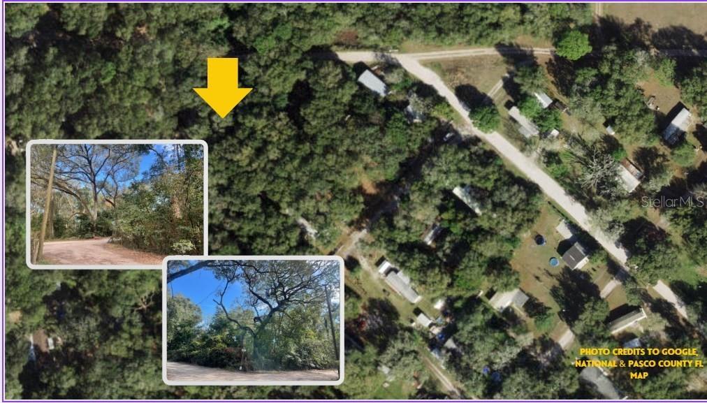 TBD CORNER OF MORRIS LANE AND HOLLAND LANE (LOTS 8 & 9, SPRING HILL, FL, 34610