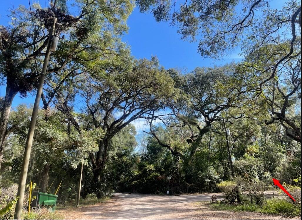 TBD CORNER OF MORRIS LANE AND HOLLAND LANE (LOTS 8 & 9, SPRING HILL, FL, 34610