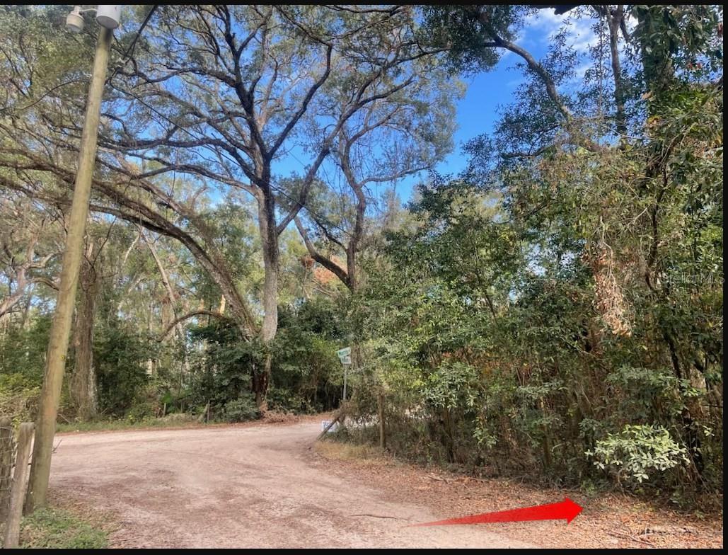 TBD CORNER OF MORRIS LANE AND HOLLAND LANE (LOTS 8 & 9, SPRING HILL, FL, 34610