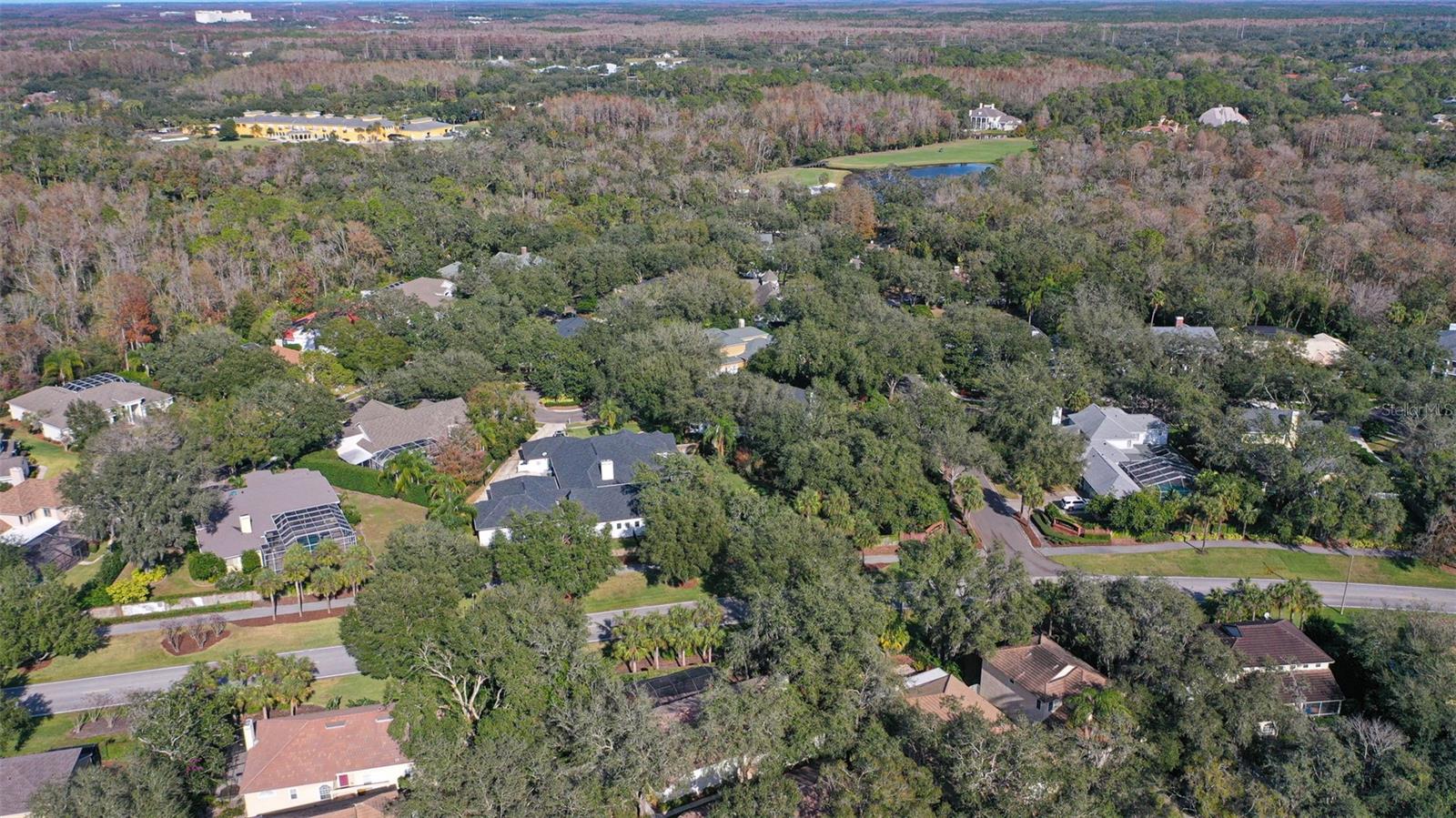 5203 FRIAR TUCK CT, TAMPA, FL, 33647