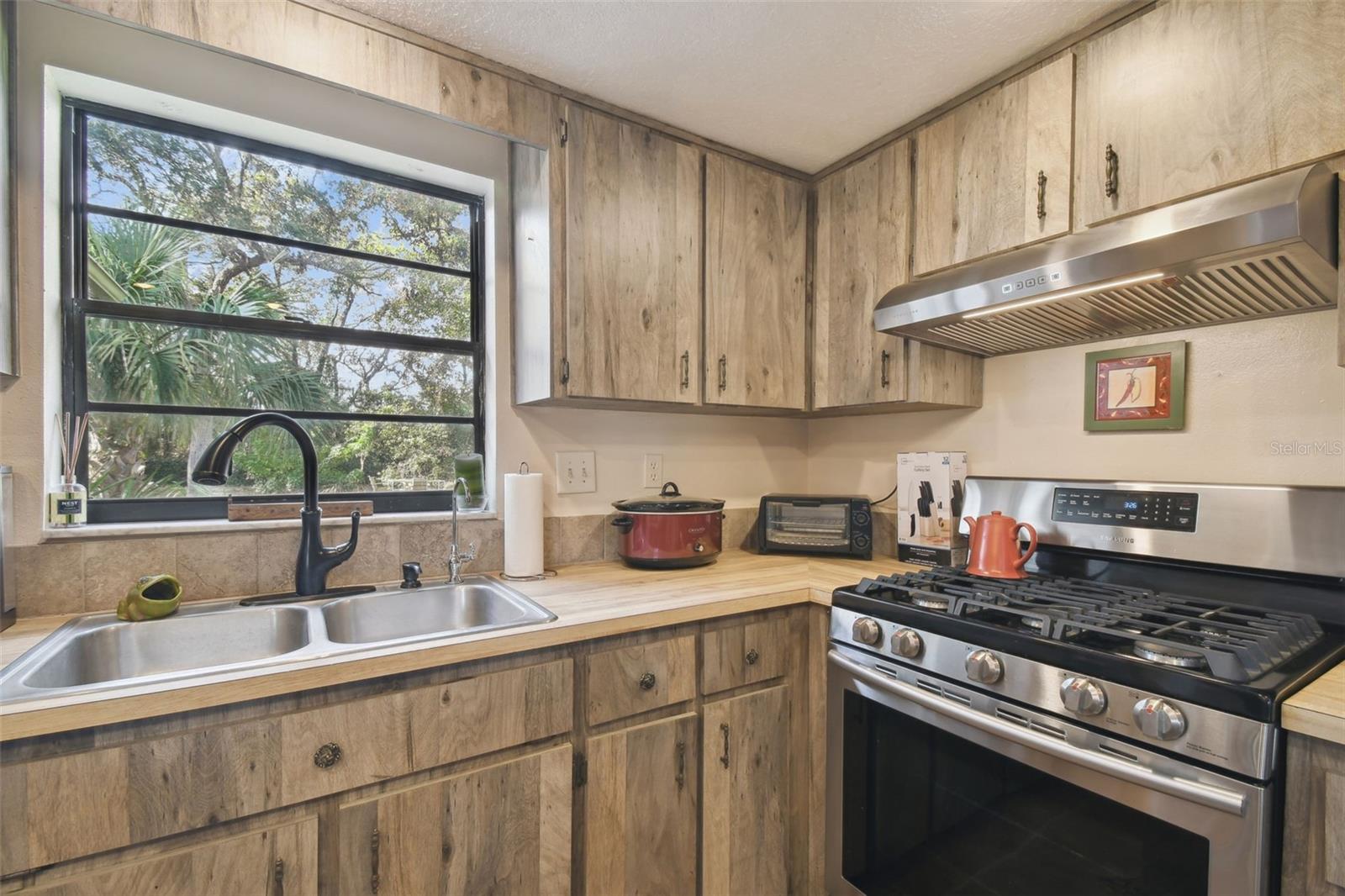 16327 LARSON LN, HUDSON, FL, 34667