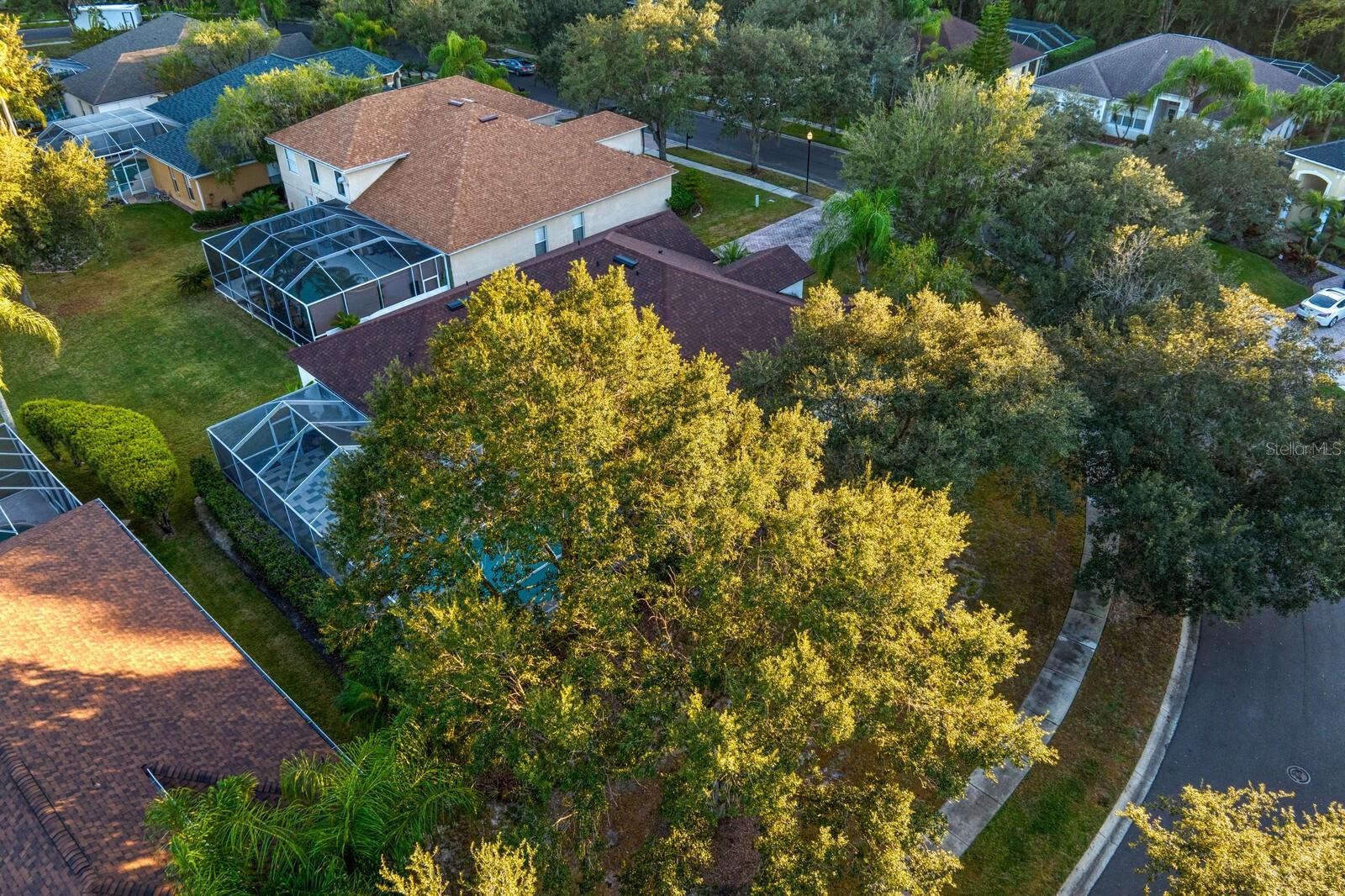 16310 ASHINGTON PARK DR, TAMPA, FL, 33647