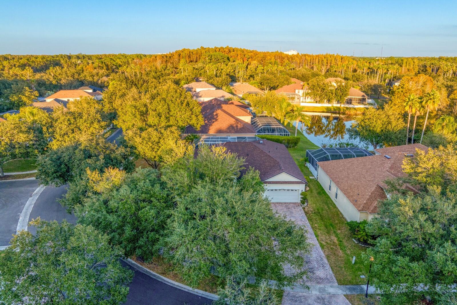 16310 ASHINGTON PARK DR, TAMPA, FL, 33647