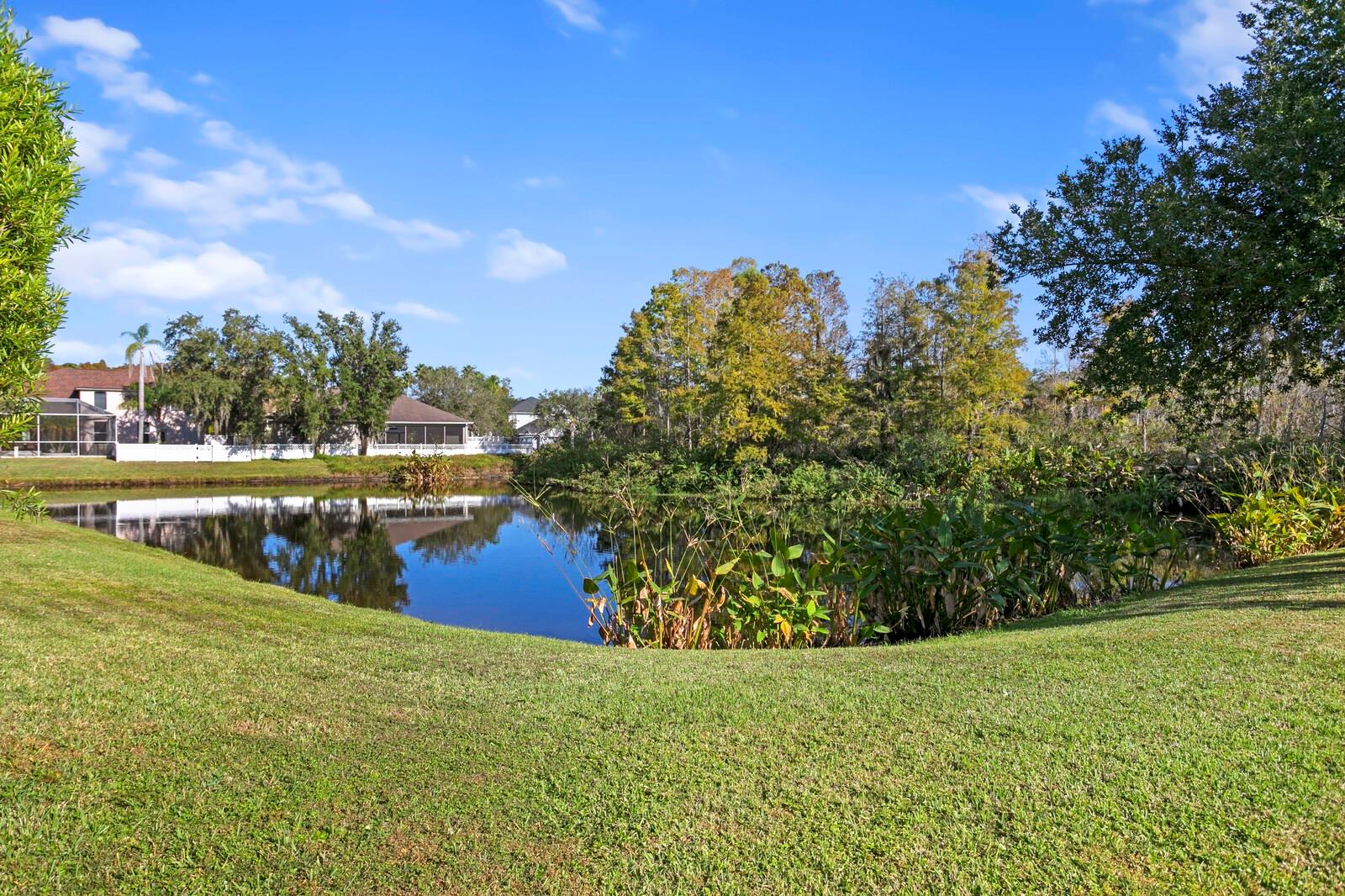 16310 ASHINGTON PARK DR, TAMPA, FL, 33647