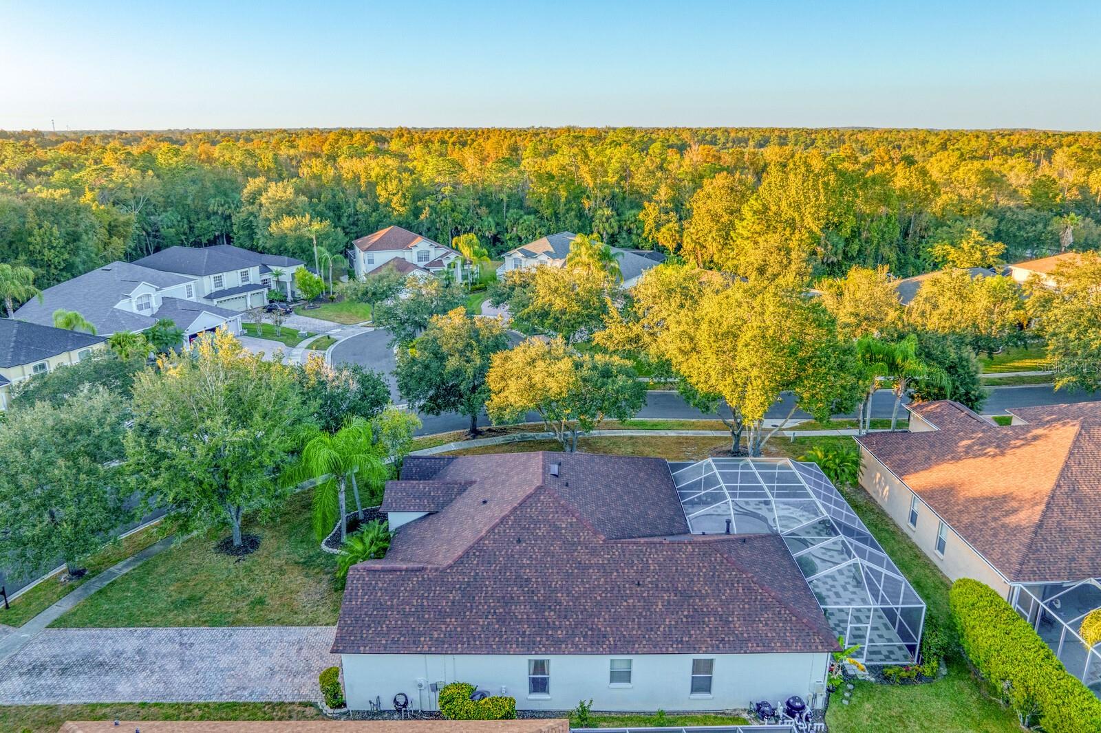 16310 ASHINGTON PARK DR, TAMPA, FL, 33647