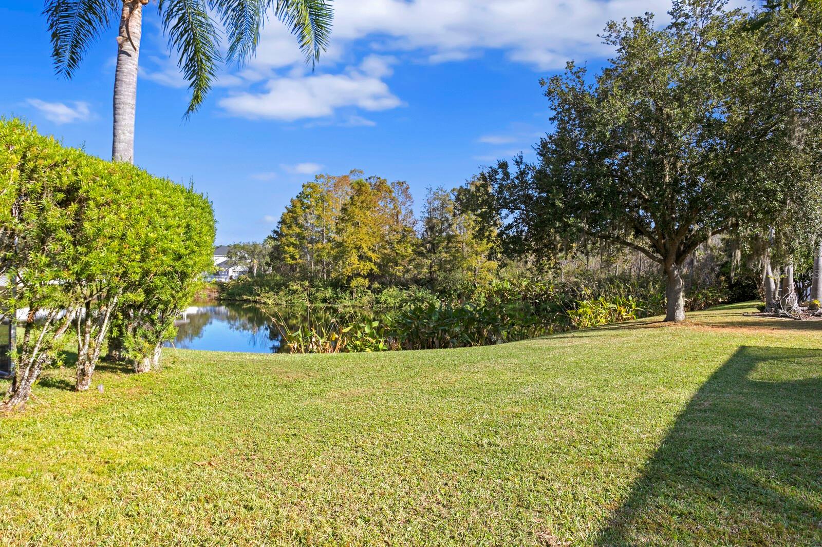 16310 ASHINGTON PARK DR, TAMPA, FL, 33647