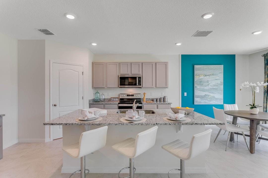 443 CARAWAY DR, KISSIMMEE, FL, 34759