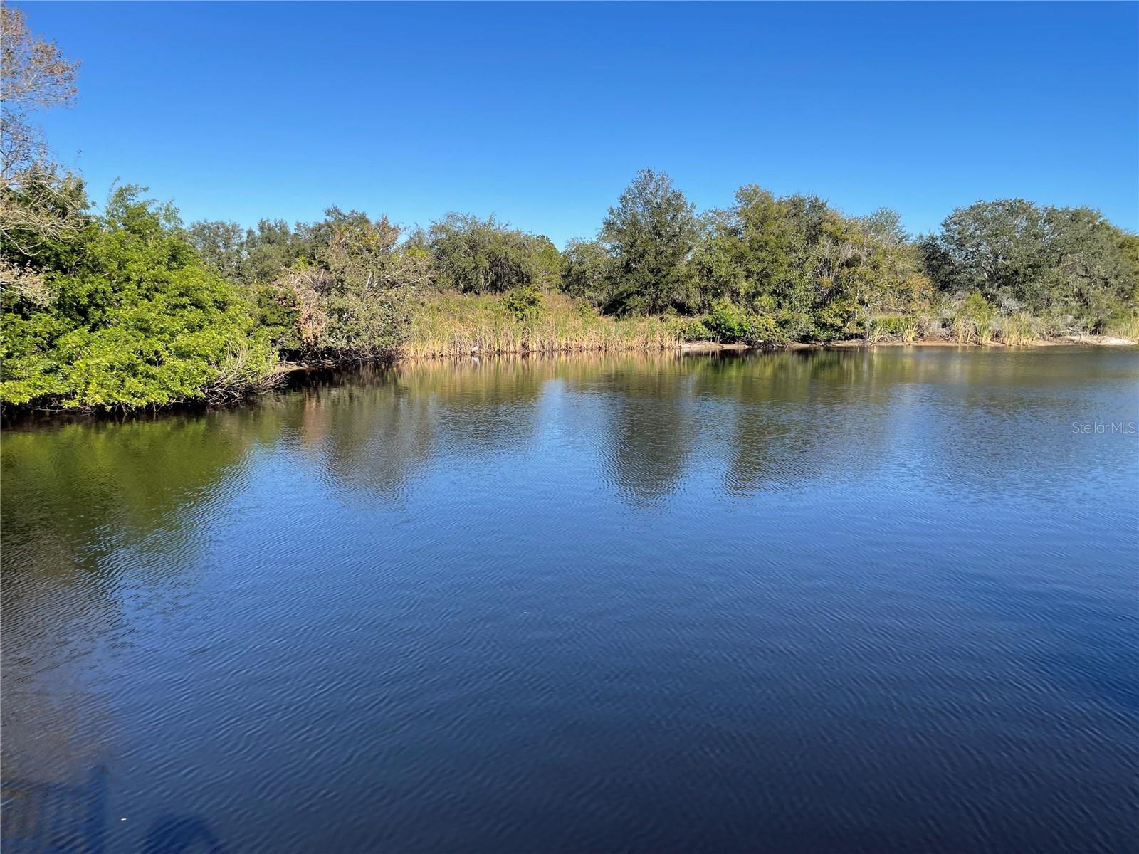 FOREST HILLS EAST, HOLIDAY, FL, 34690