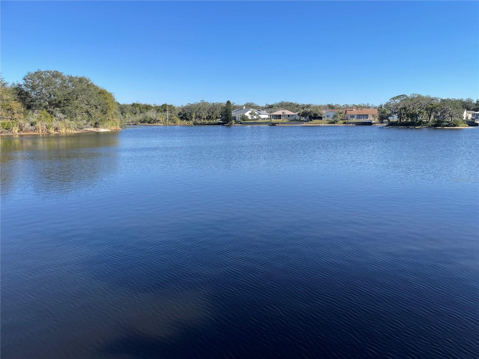 FOREST HILLS EAST, HOLIDAY, FL, 34690
