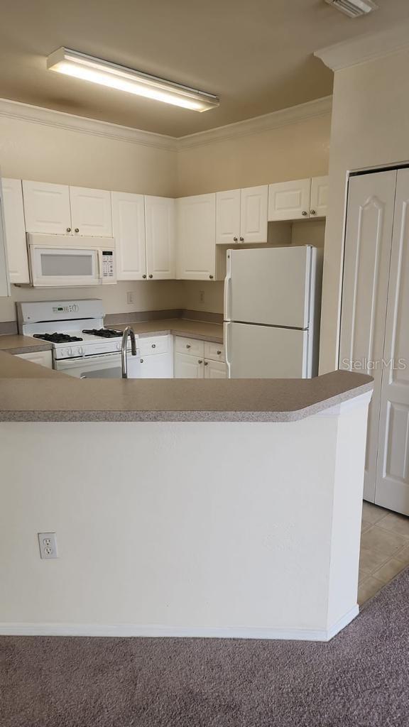 3349 S KIRKMAN RD #1528, ORLANDO, FL, 32811